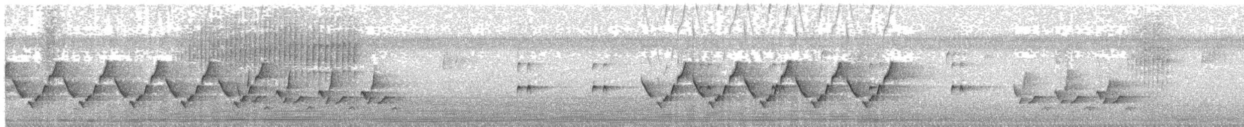 Carolina Wren - ML64252841