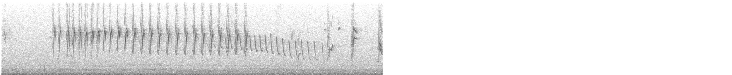 Adelaide's Warbler - ML642528883