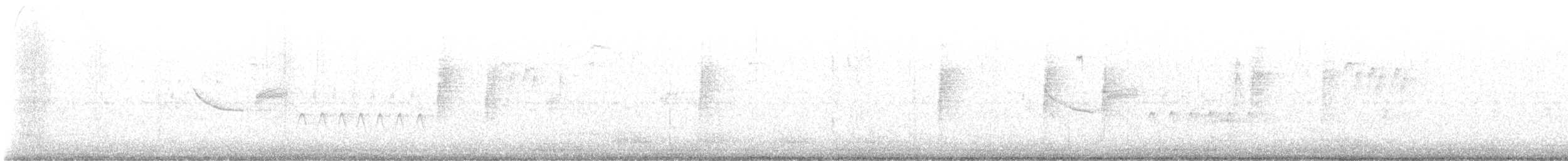 Bewick's Wren - ML642529174