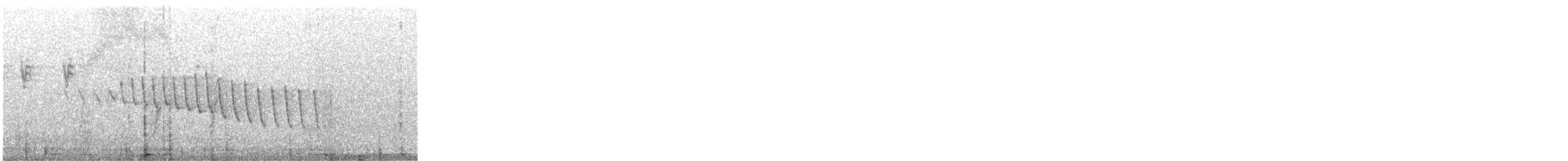 Adelaide's Warbler - ML642529205