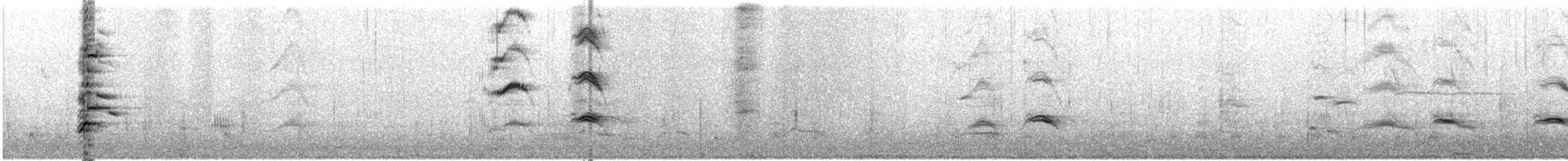 Cygne tuberculé - ML642532141