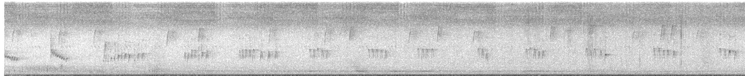 Carolina Wren - ML642532731