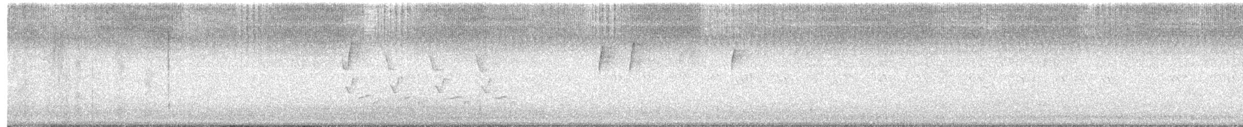 Carolina Wren - ML642532772