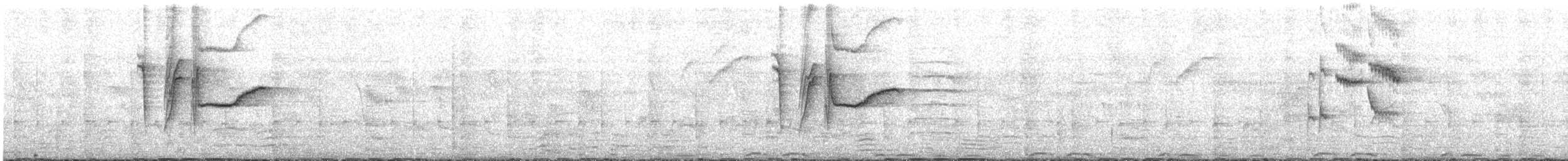 クロヒタキ - ML642532888