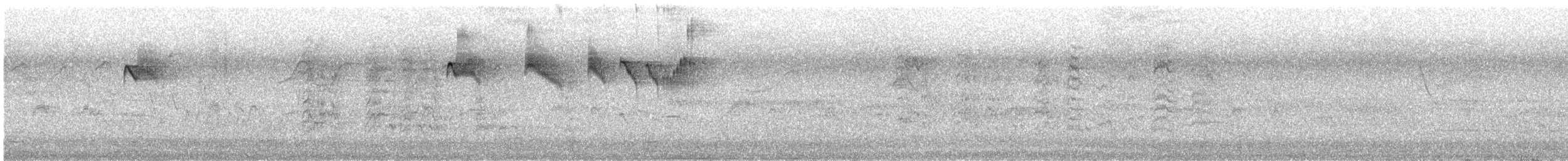 Variegated Flycatcher - ML642534079