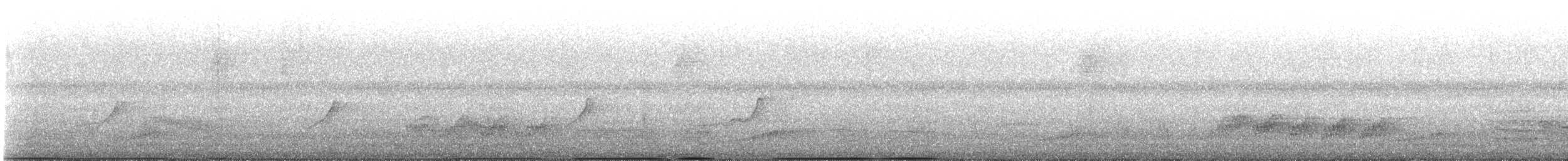 Bare-faced Curassow - ML642534105