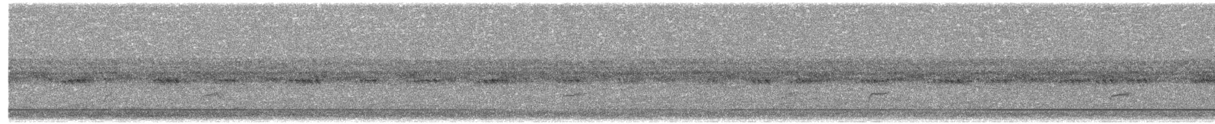 Catharus sp. - ML642534429