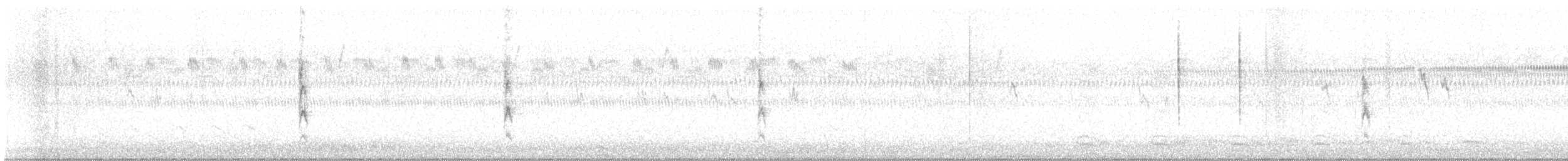 American Golden-Plover - ML642535182