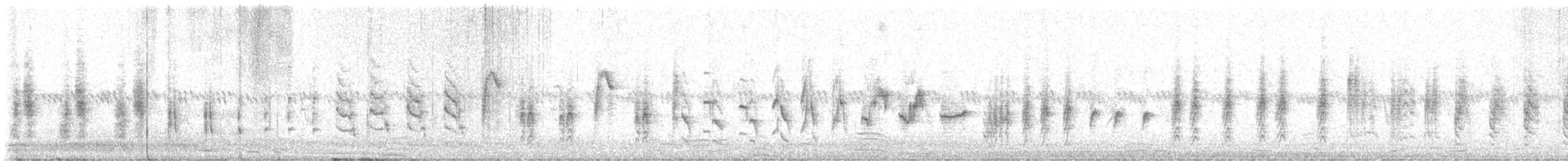 Cannaiola comune - ML642535342