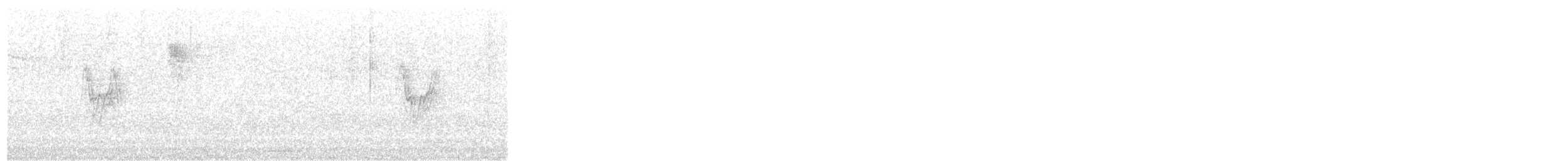 Bergeronnette grise (alba/dukhunensis) - ML642535476