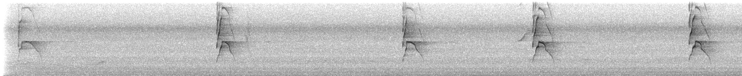 Social Flycatcher - ML642535982