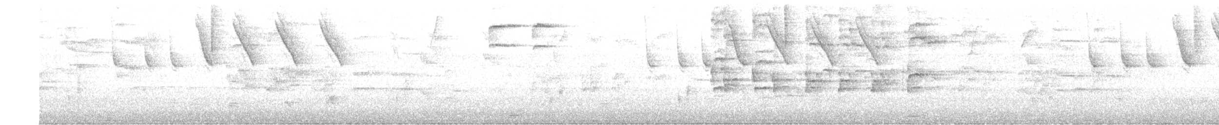 brasilskifertrost - ML642536057