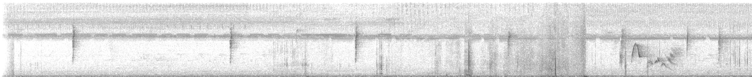 Mourning Warbler - ML642536956