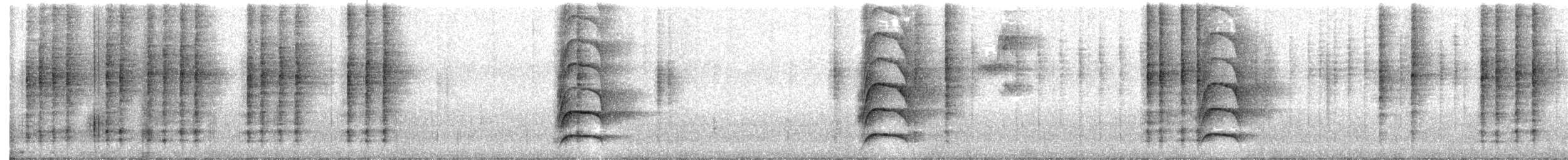 Rufous-and-white Wren - ML642537362