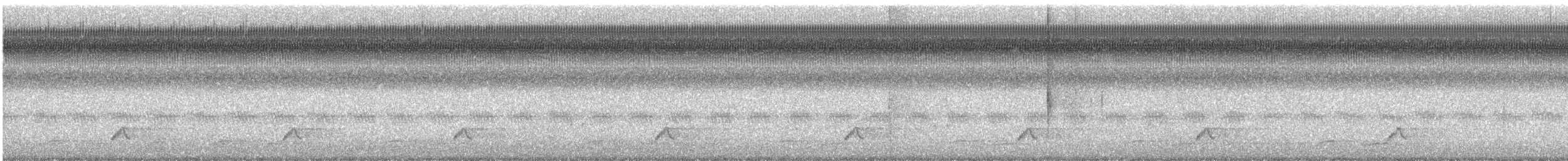 Eastern Whip-poor-will - ML642537737