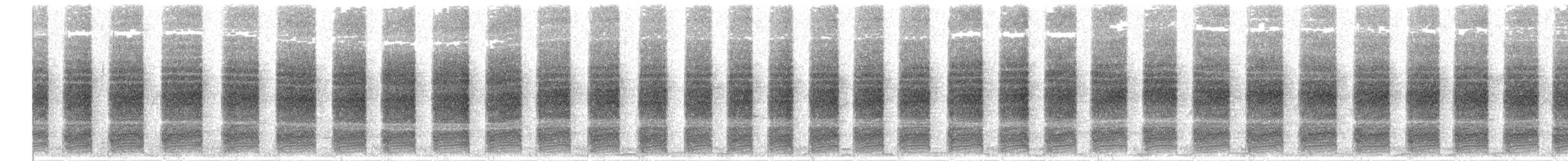 Cape Sugarbird - ML642538722