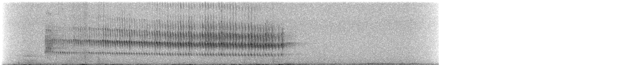 Belted Kingfisher - ML642539540