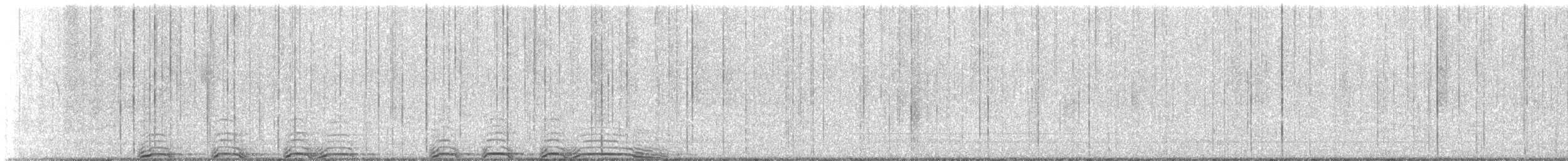 Barred Owl - ML642541682