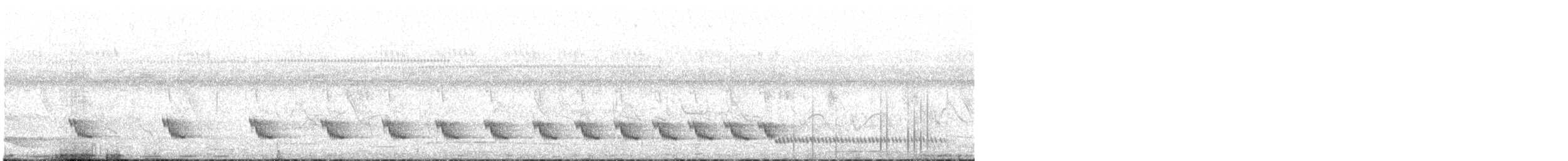 White-winged Swamp Warbler