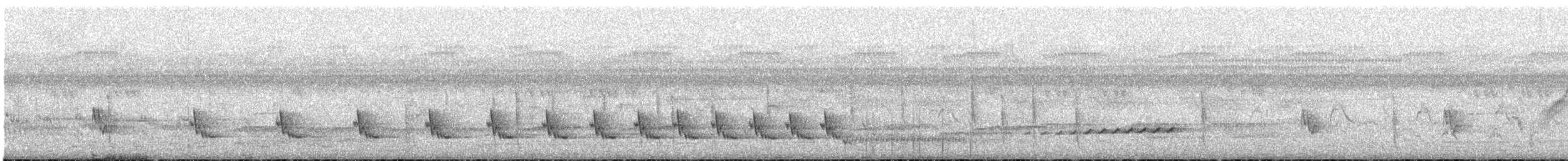 White-winged Swamp Warbler