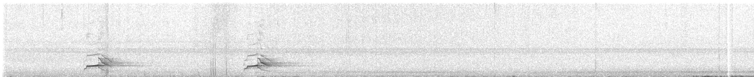 Northern Bobwhite - ML642543446