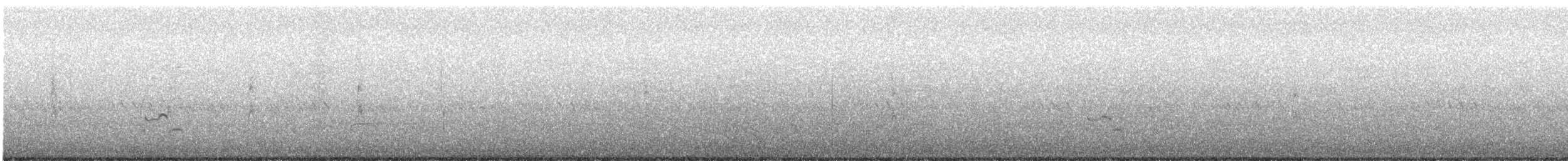 American Golden-Plover - ML642544329