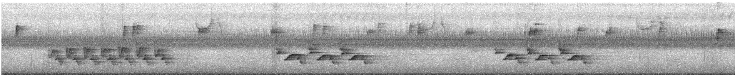 Carolinazaunkönig - ML642545373