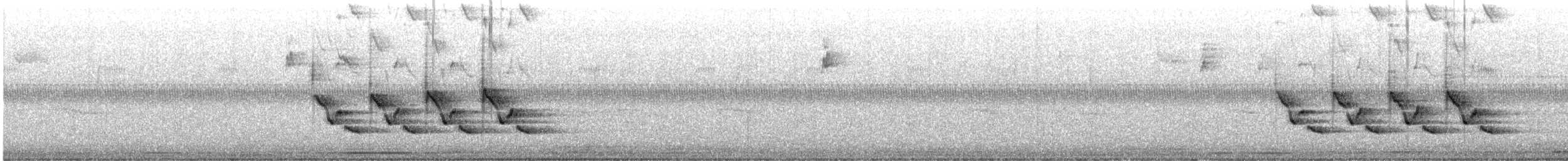 Carolinazaunkönig - ML642545466