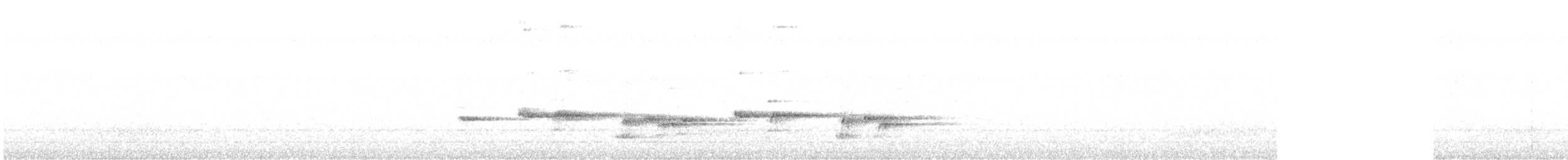 Willie-wagtail - ML642545655