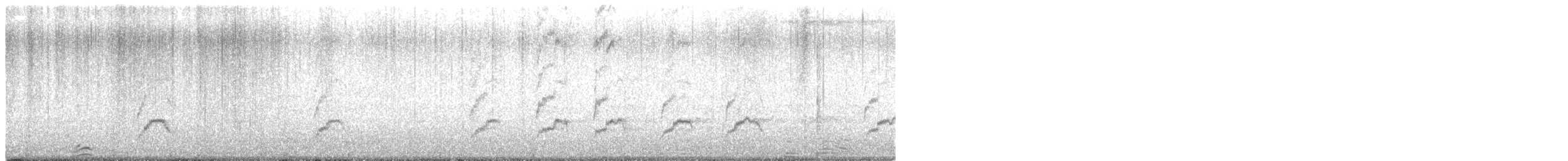 Nymphensittich - ML642545742