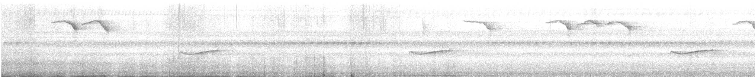 American Robin - ML642546047