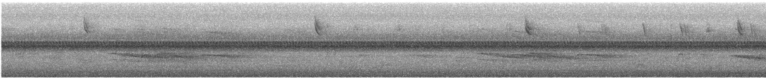 Savannah Sparrow - ML642546148