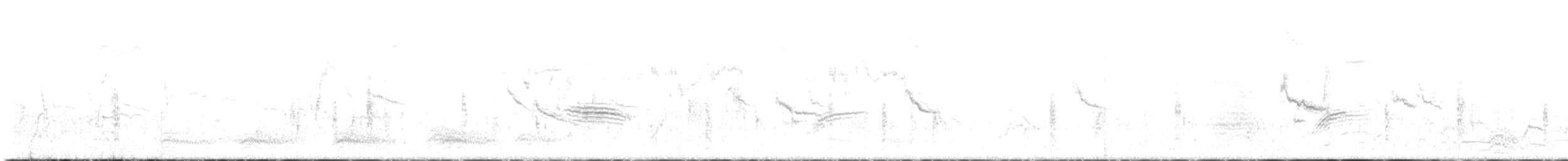 Brewer's Blackbird - ML642546382