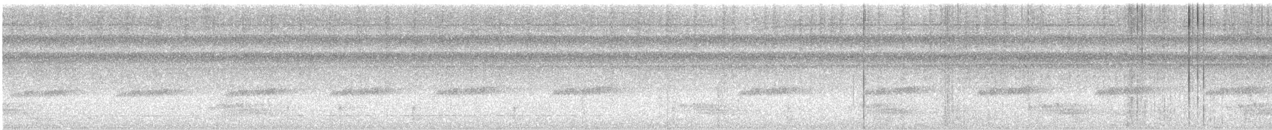 Blue-backed Manakin - ML642547777