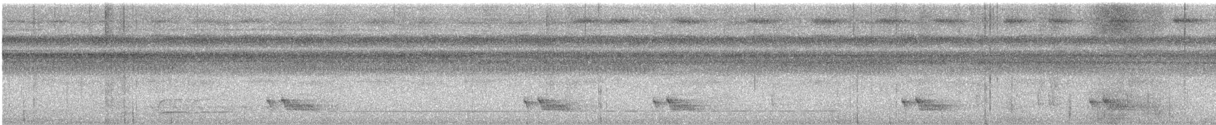 Blue-backed Manakin - ML642547778