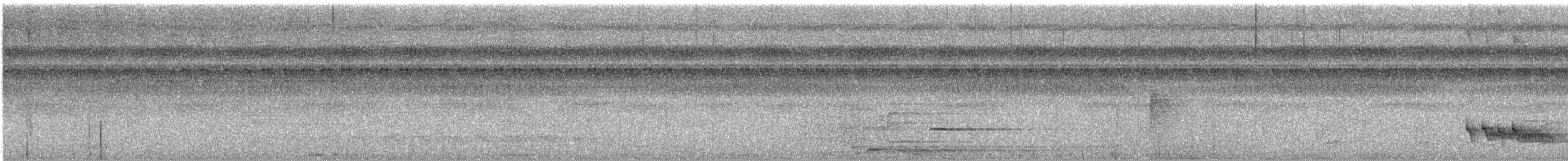 Blue-backed Manakin - ML642547779