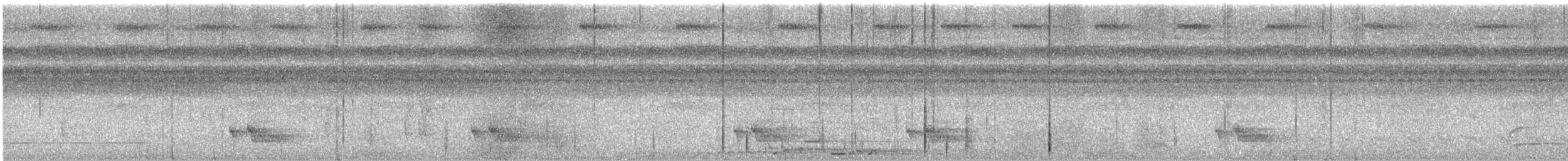 チャバラオオツリスドリ - ML642547975