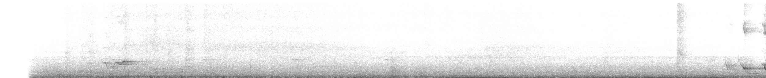 Loriot verdâtre - ML642548413