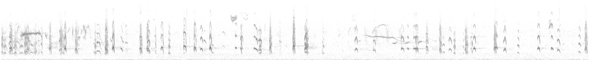 langnebbekkasinsnipe - ML642549842