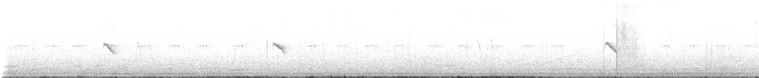 Iberian Chiffchaff - ML642551229