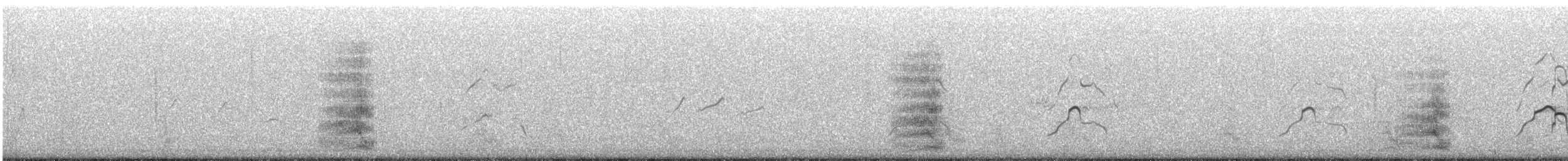 Sterna maggiore - ML642551725