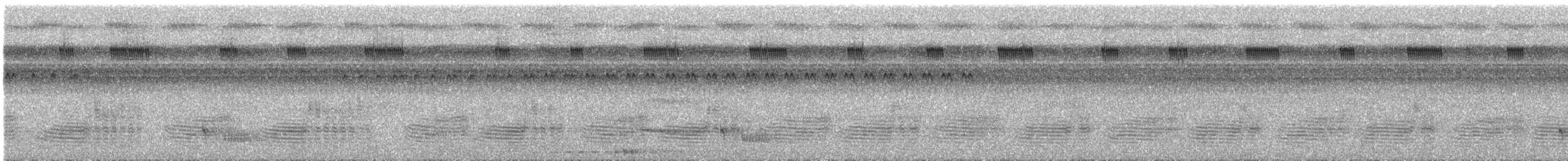 Blue-backed Manakin - ML642551765