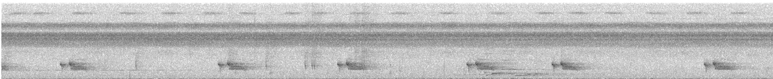 Blue-backed Manakin - ML642551766