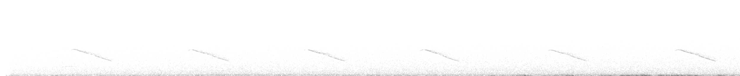 Horsfield's Bronze-Cuckoo - ML642551972