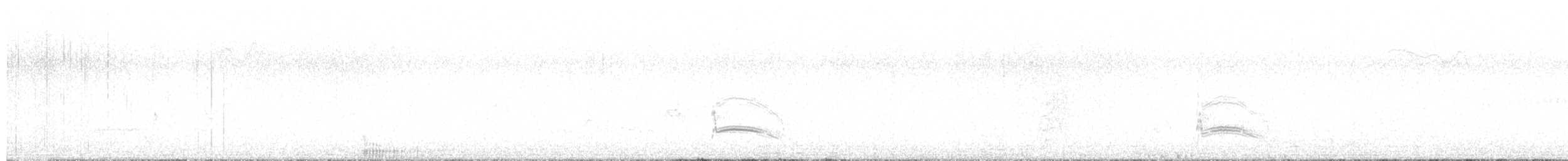 Tyranneau suiriri - ML642552040