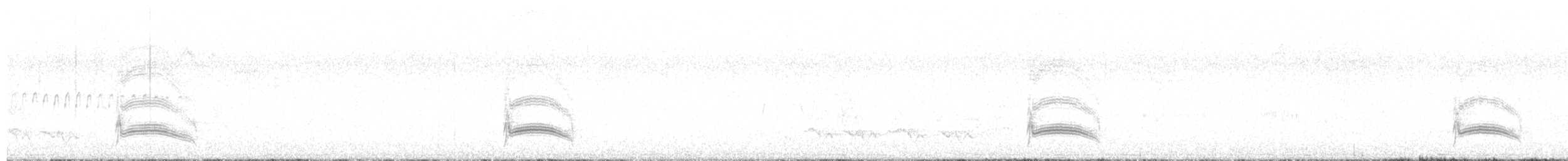 Tyranneau suiriri - ML642552041