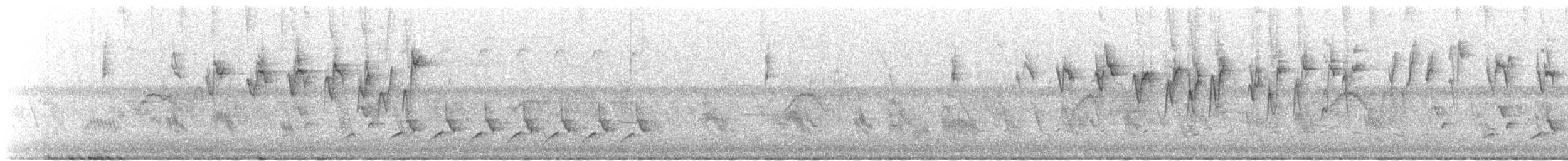 Nashville Warbler - ML642553902