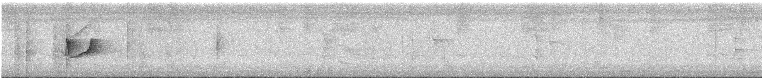 Forest Elaenia - ML642554574