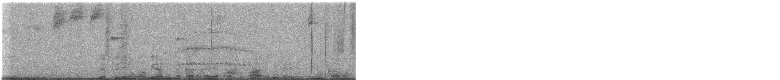 Churrín de Spillmann - ML642555569