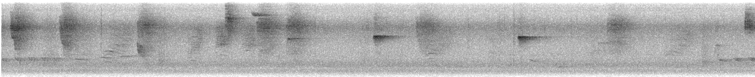 ウスグロアリドリ - ML642555588